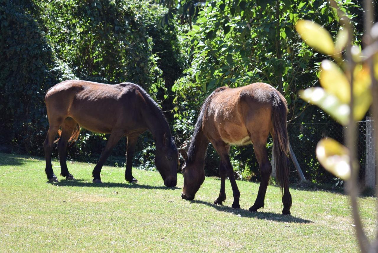 Pousada Appaloosa Águas de Lindóia Exteriér fotografie